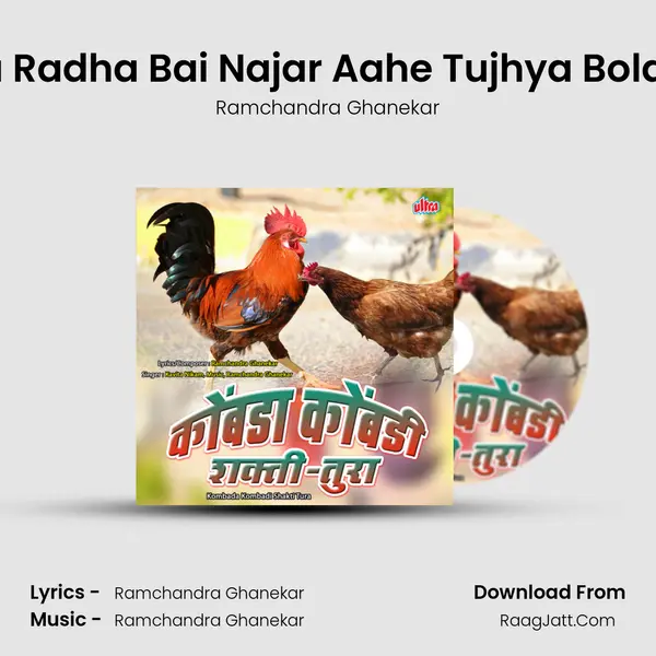 Aga Radha Bai Najar Aahe Tujhya Bolavar Cover