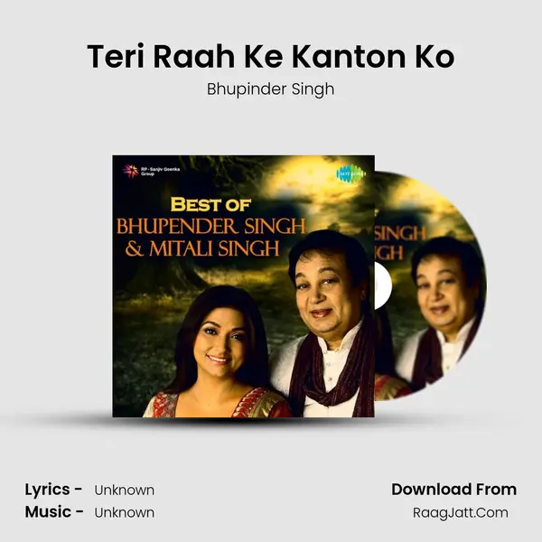 Teri Raah Ke Kanton Ko Cover