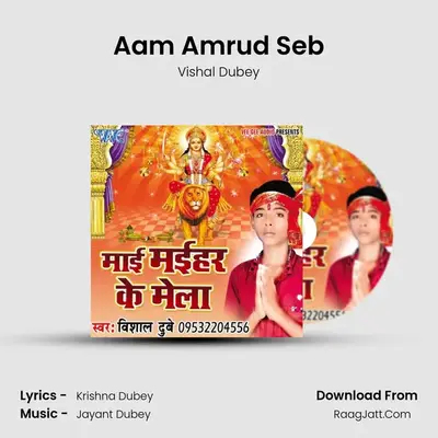 Aam Amrud Seb MP3 Song by Vishal Dubey Cover