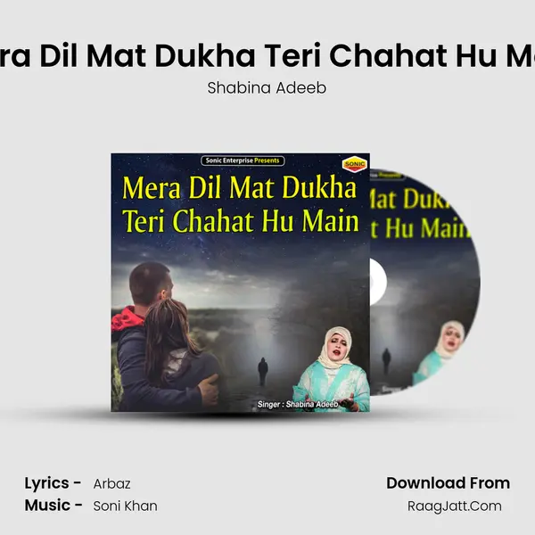 Mera Dil Mat Dukha Teri Chahat Hu Main - Shabina Adeeb