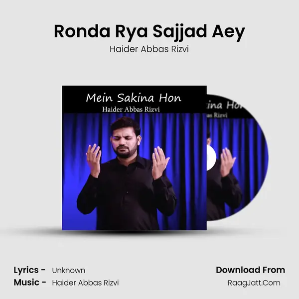 Ronda Rya Sajjad Aey MP3 Song by Haider Abbas Rizvi Cover