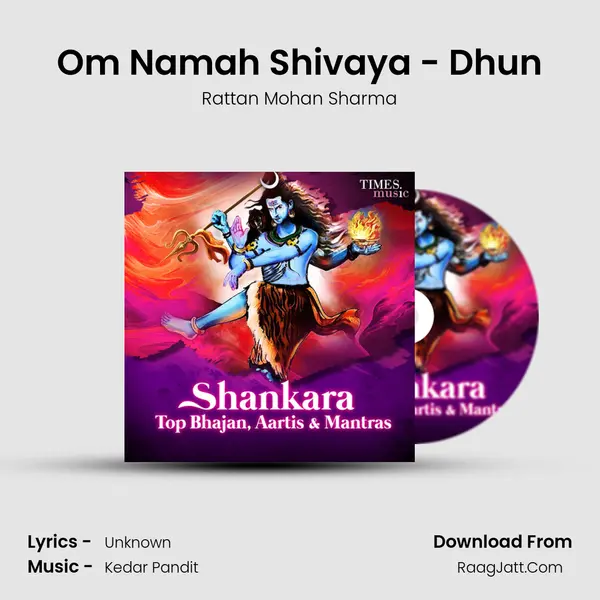 Om Namah Shivaya - Dhun Cover