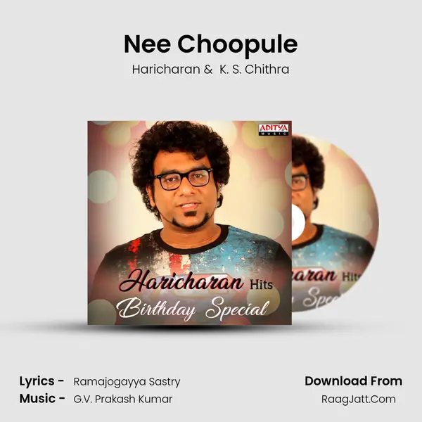 Nee Choopule Cover