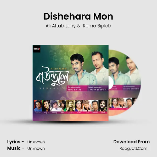 Dishehara Mon MP3 Song by Ali Aftab Lony Cover
