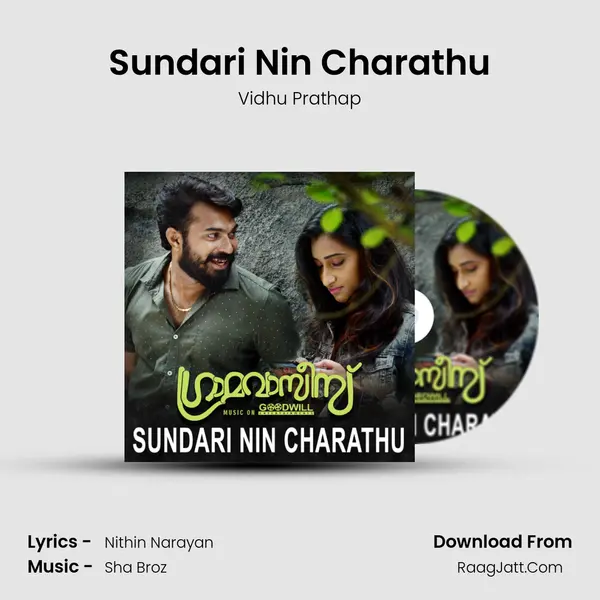 Sundari Nin Charathu MP3 Song by Vidhu Prathap Cover
