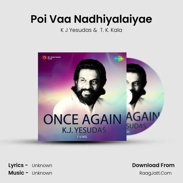 Poi Vaa Nadhiyalaiyae Cover