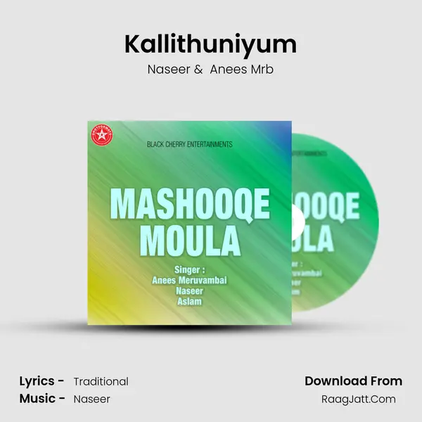 Kallithuniyum MP3 Song by Naseer Cover