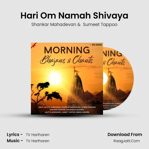 Hari Om Namah Shivaya Cover