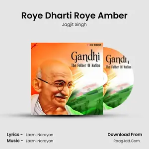 Roye Dharti Roye Amber Cover