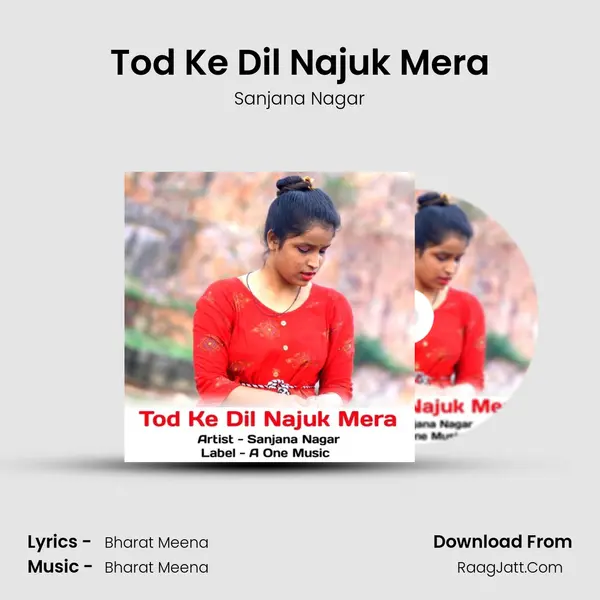 Tod Ke Dil Najuk Mera Cover