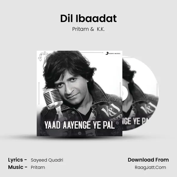 Dil Ibaadat Cover