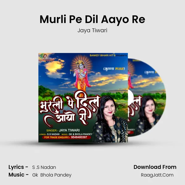 Murli Pe Dil Aayo Re mp3 song