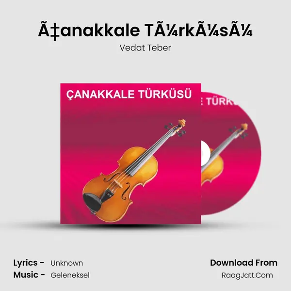 Ã‡anakkale TÃ¼rkÃ¼sÃ¼ (Keman Solo) - 
