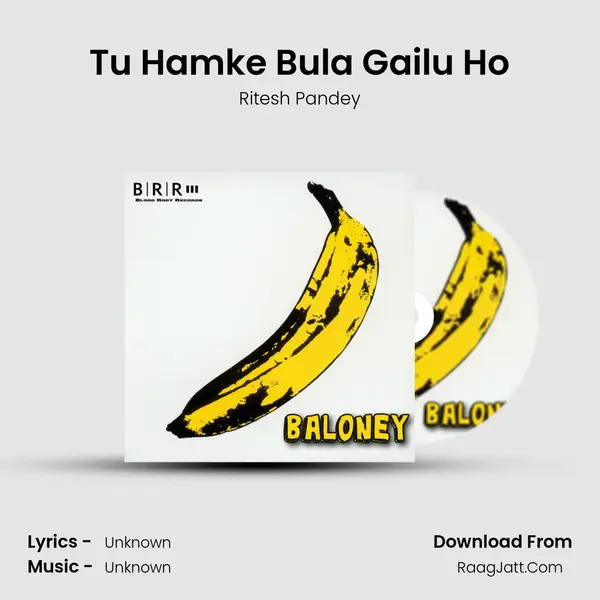 Tu Hamke Bula Gailu Ho Cover