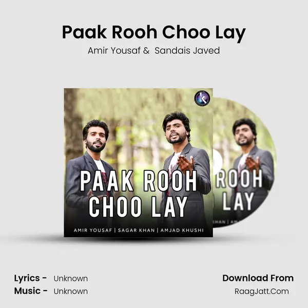 Paak Rooh Choo Lay MP3 Song by Amir Yousaf Cover