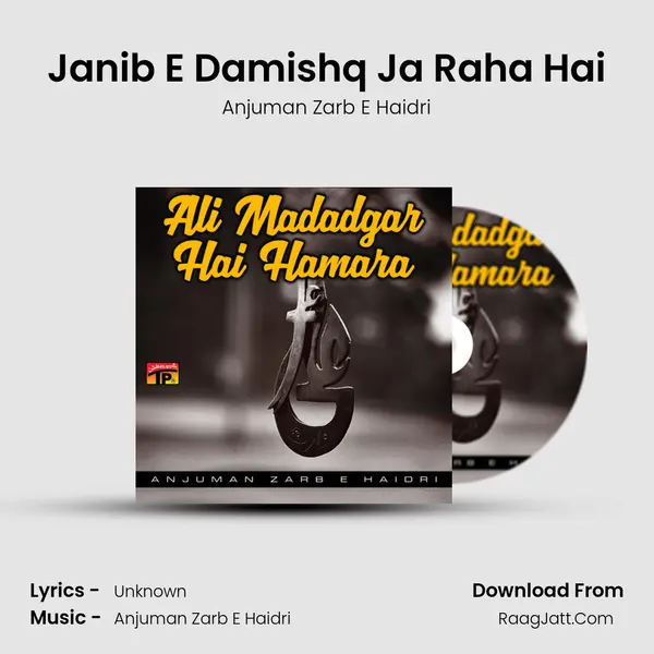 Janib E Damishq Ja Raha Hai MP3 Song by Anjuman Zarb E Haidri Cover