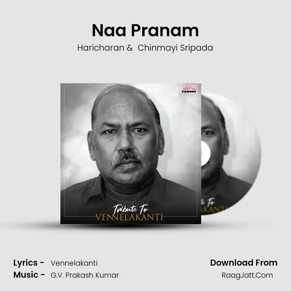 Naa Pranam Cover