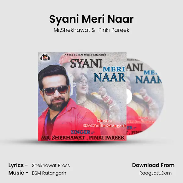 Syani Meri Naar mp3 song