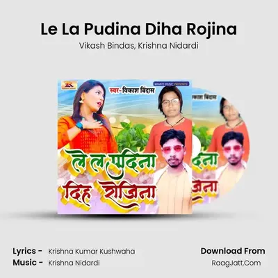 Le La Pudina Diha Rojina MP3 Song by Vikash Bindas Cover