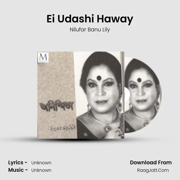 Ei Udashi Haway MP3 Song by Nilufar Banu Lily Cover