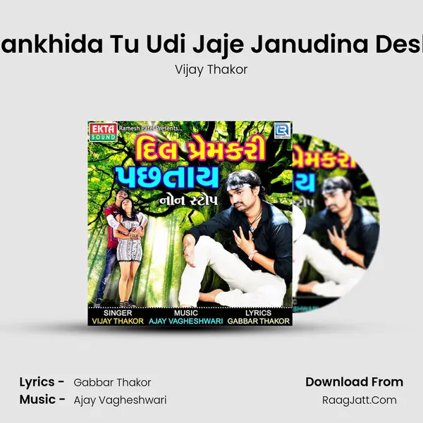 Pankhida Tu Udi Jaje Janudina Desh MP3 Song by Vijay Thakor Cover