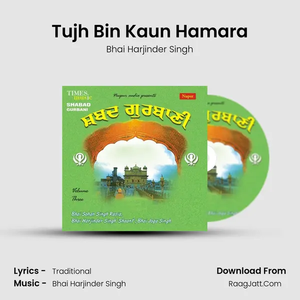 Tujh Bin Kaun Hamara MP3 Song by Bhai Harjinder Singh Cover