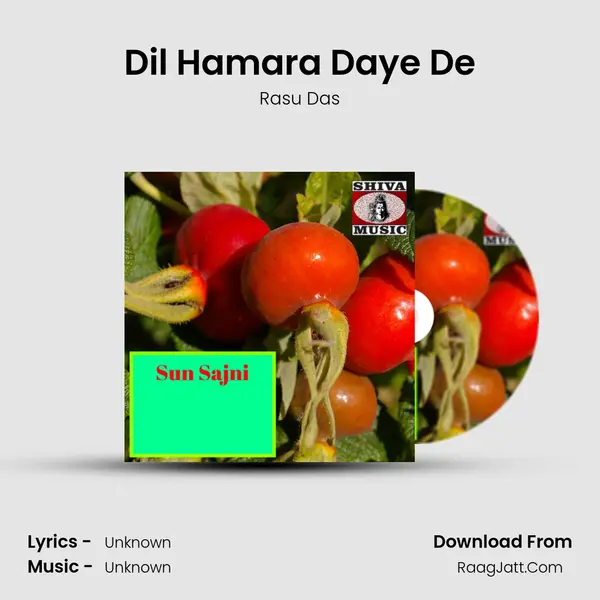 Dil Hamara Daye De mp3 song