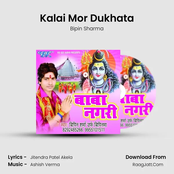 Kalai Mor Dukhata MP3 Song by Bipin Sharma Cover