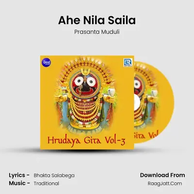 Ahe Nila Saila MP3 Song by Prasanta Muduli Cover