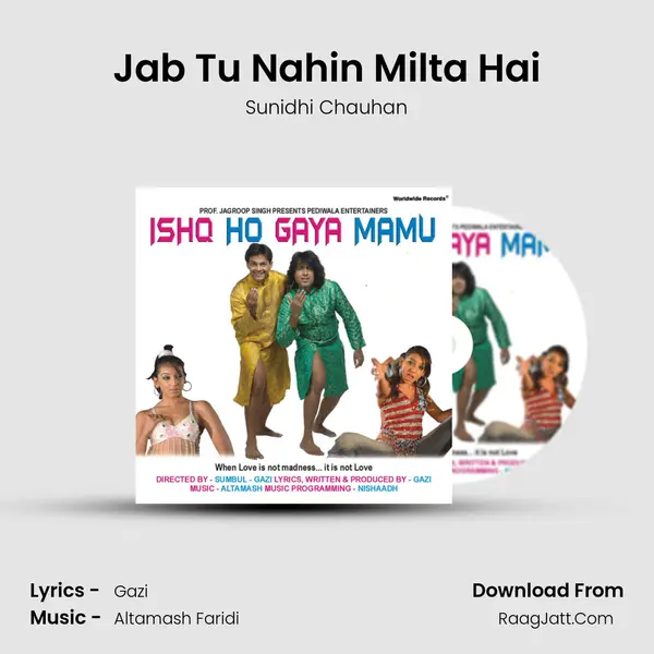 Jab Tu Nahin Milta Hai MP3 Song by Sunidhi Chauhan Cover