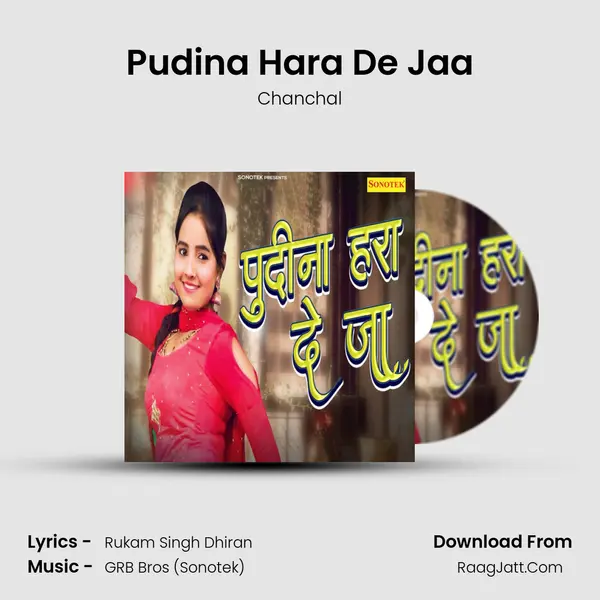 Pudina Hara De Jaa mp3 song