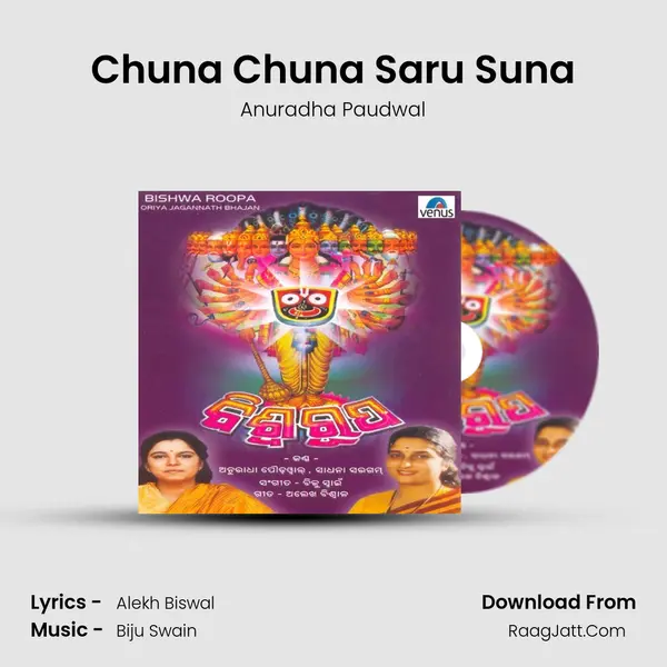 Chuna Chuna Saru Suna MP3 Song by Anuradha Paudwal Cover