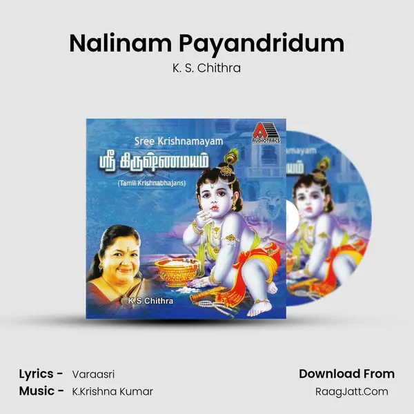 Nalinam Payandridum MP3 Song by K. S. Chithra Cover