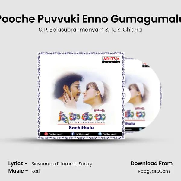 Pooche Puvvuki Enno Gumagumalu MP3 Song by S. P. Balasubrahmanyam Cover