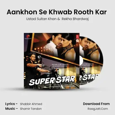 Aankhon Se Khwab Rooth Kar (Ambient Mix) MP3 Song by Ustad Sultan Khan Cover