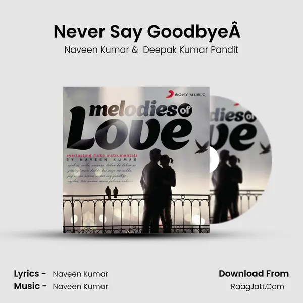 Never Say GoodbyeÂ  (Instrumental) MP3 Song by Naveen Kumar Cover