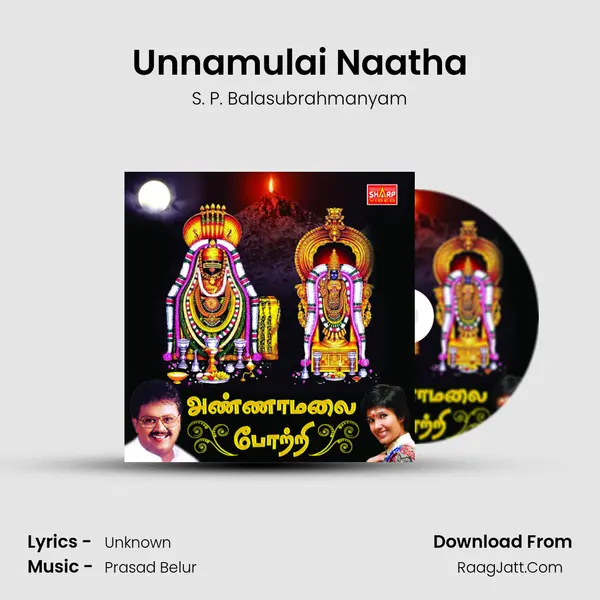 Unnamulai Naatha MP3 Song by S. P. Balasubrahmanyam Cover