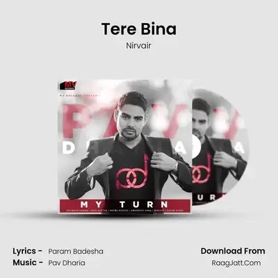 Tere Bina MP3 Song by Nirvair Cover