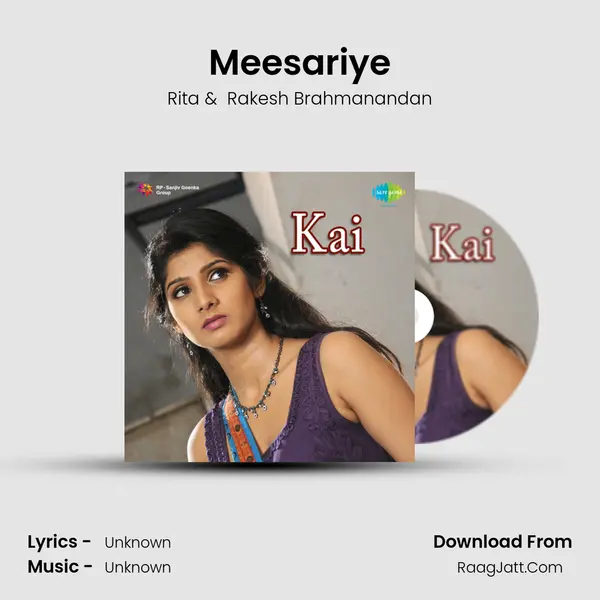 Meesariye Cover