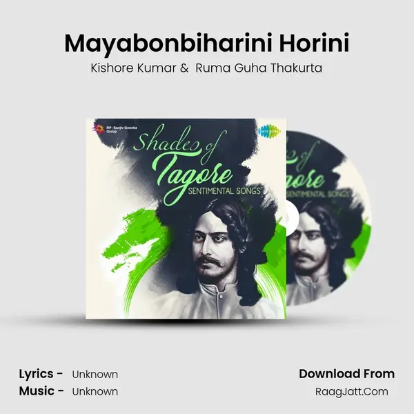 Mayabonbiharini Horini Cover