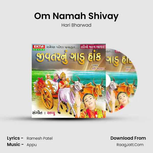Om Namah Shivay MP3 Song by Hari Bharwad Cover
