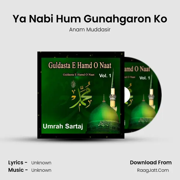 Ya Nabi Hum Gunahgaron Ko MP3 Song by Anam Muddasir Cover