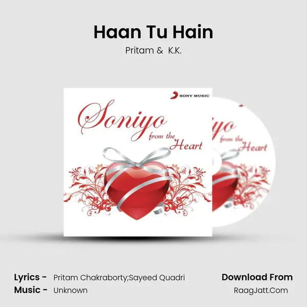 Haan Tu Hain Cover