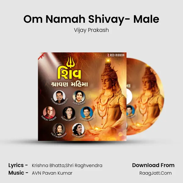 Om Namah Shivay- Male MP3 Song by Vijay Prakash Cover