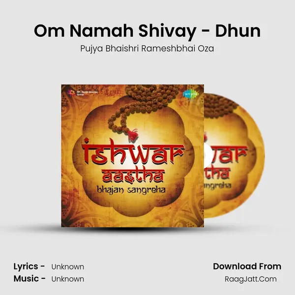 Om Namah Shivay - Dhun Cover