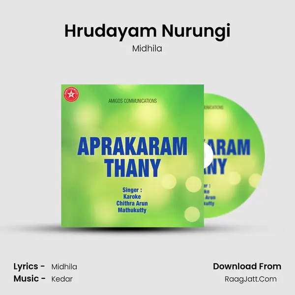 Hrudayam Nurungi MP3 Song by Midhila Cover
