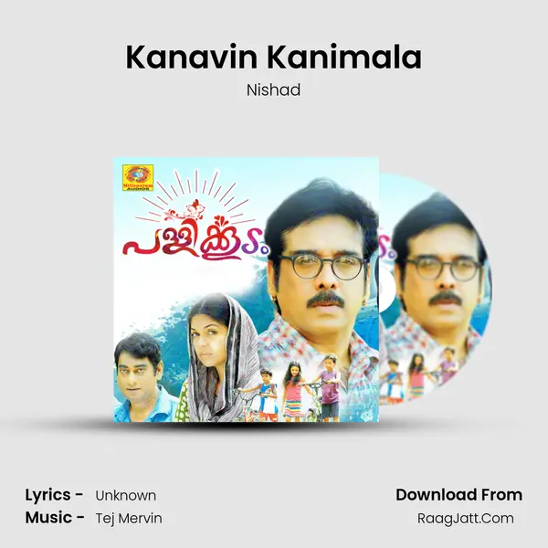 Kanavin Kanimala MP3 Song by Nishad Cover
