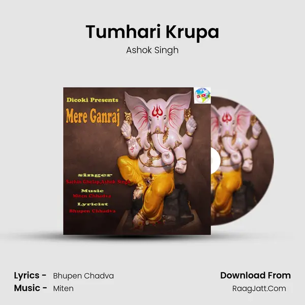 Tumhari Krupa MP3 Song by Ashok Singh Cover