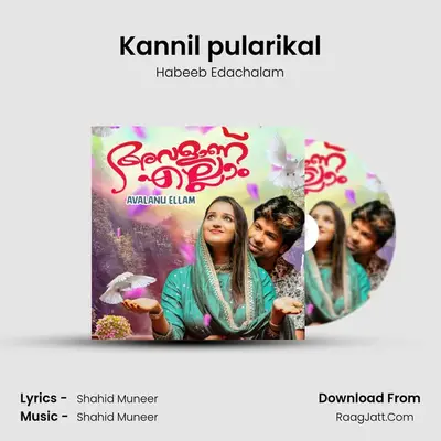 Kannil pularikal MP3 Song by Habeeb Edachalam Cover