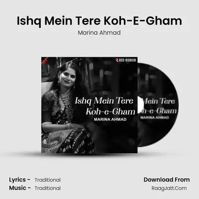 Ishq Mein Tere Koh-E-Gham mp3 song